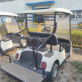 2-seater lead-acid electric car