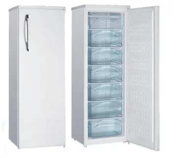 110/220V 200L Single Door Vertical Refrigerator/Freezer for Home