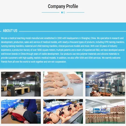 DARHMMY Advanced Subdermal Implant Contraceptive Exercise Arm Model