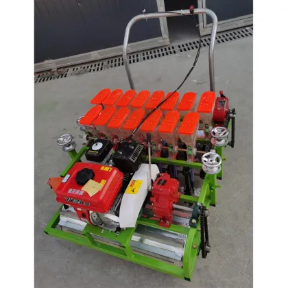 Okra Seeder Vegetable Seeder for Sale