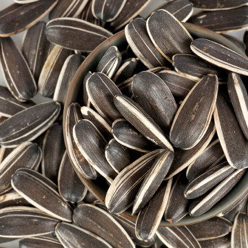 sunflower seed commodity prices
