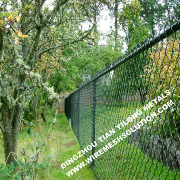 Green PVC Coated Chain Link Fence Frabric