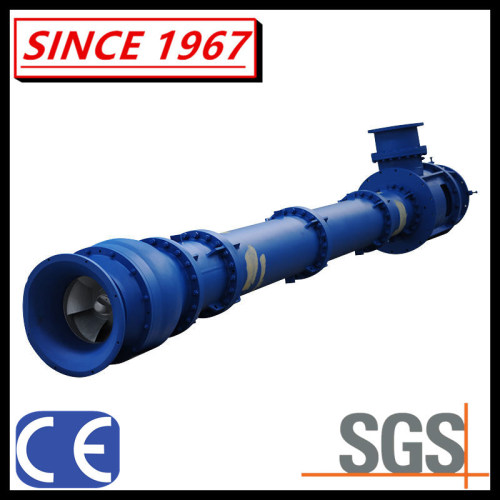 Long Shaft Turbine Centrifugal Pump for Desalination Plant