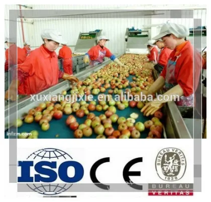 Complete Apple Production Line