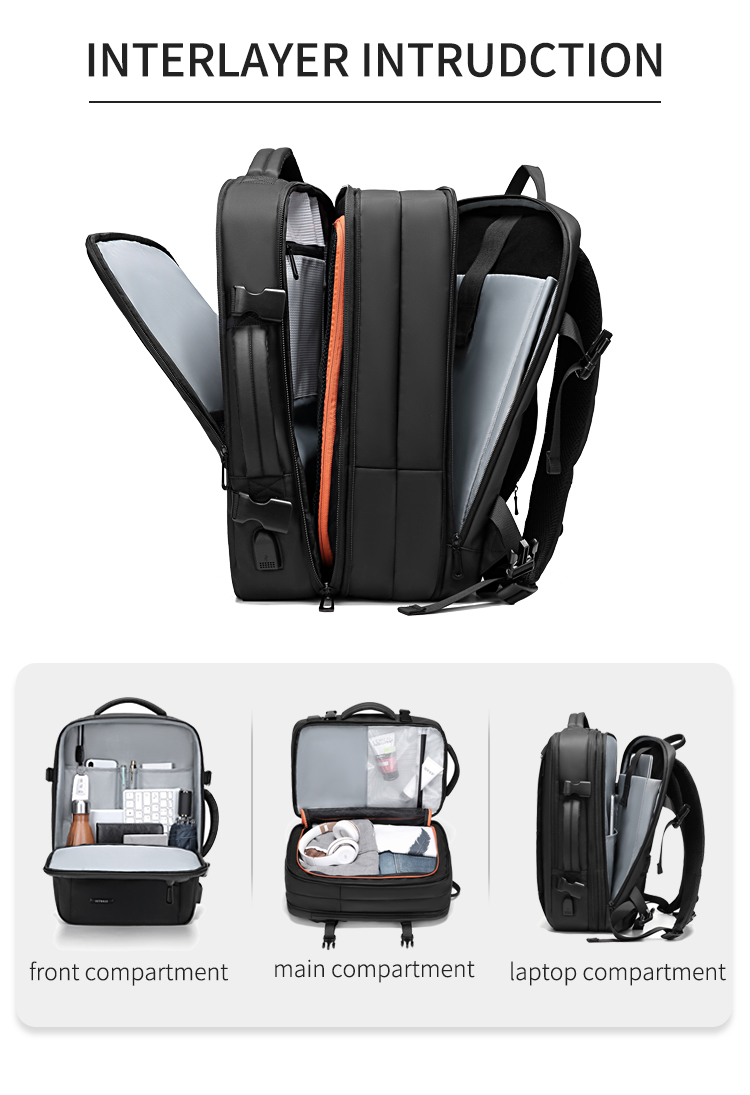 Computer Backpack Two