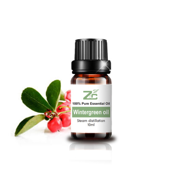 Natural Pure Wintergreen Essential Oil Resonable Precio