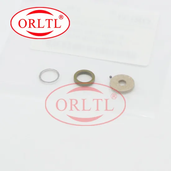 ORLTL Diesel Injector Repair Kit FOOVC05008 with Black Ceramic Ball FOOVC99002 for Bosch 110 Series