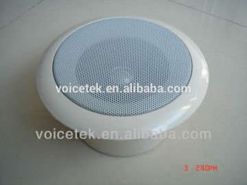 Top Pro Waterproof In Wall Ceiling Speaker
