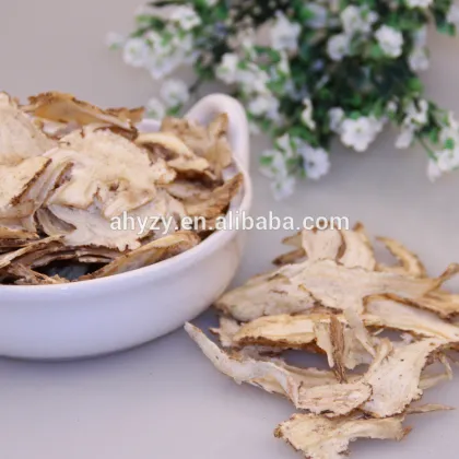 Traditional Chinese medicinal decoction pieces angelica sinensis (Danggui)