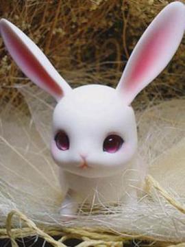 BJD Pet Ruby Ball Jointed Doll