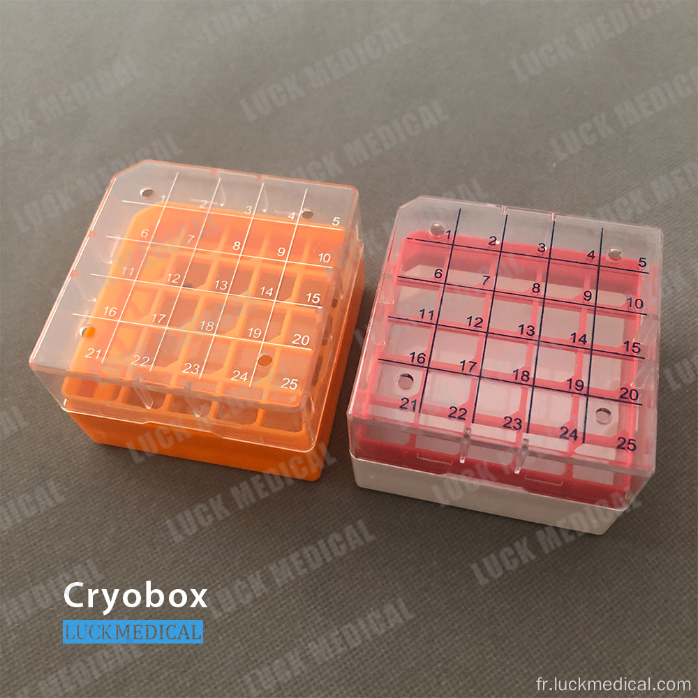 Cryobox en plastique pour le rangement cryotube