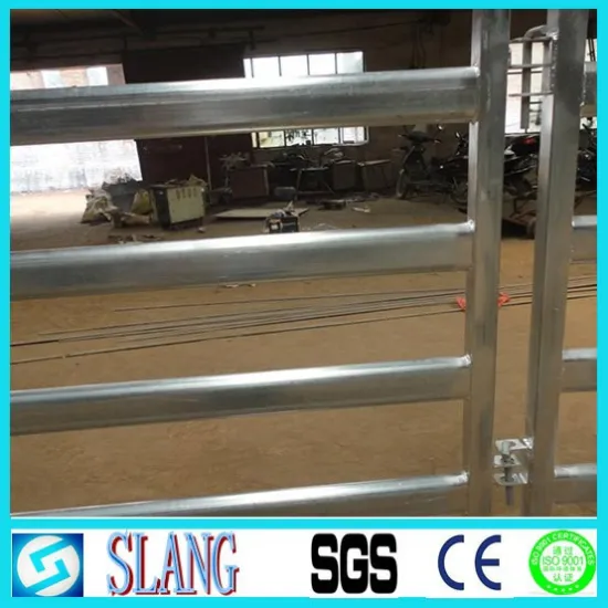 Hot! Hot! Hot! Good quality wholesale bulk cattle cattle(hot sale)