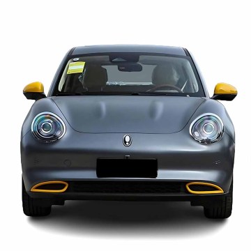2024 Ora Good Cat: New Energy Electric Vehicle with 401km Range