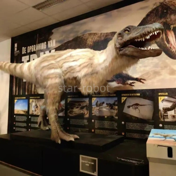 Hoạt hình khủng long tyrannosaurus với lông