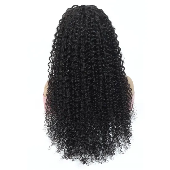 Jewish Wig Virgin Cuticle Aligned Mink Brazilian Human Hair Wholesale Price Swiss Full Lace Kinky Curly Hair Wig For Women