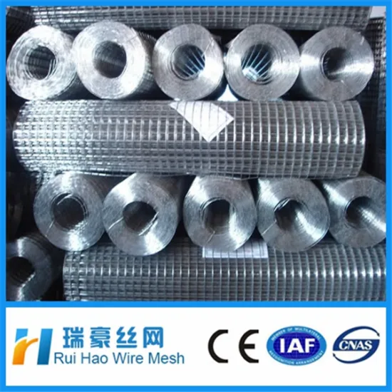 2"x2" Galvanized Welded Wire Mesh /welded mesh For Fence Panel/electrowelded mesh