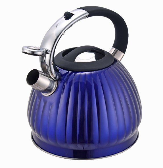 Whistle Kettle Stainless Steel