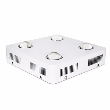 Acquista in Cina ad alta potenza 600w a buon mercato led coltiva le luci per impianto di induzione