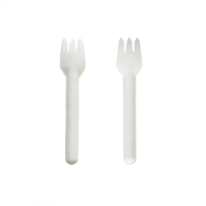 compostable packaging bagasse sugarcane disposable tableware food boxes