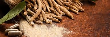 Ashwagandha Extract (3)