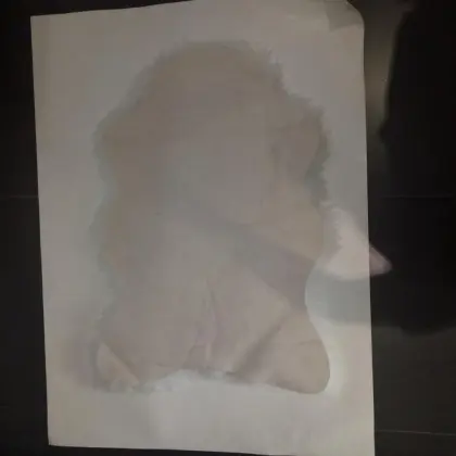 Faux Fur Rug Lamb Skin Area Rug for Room Carpets