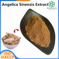 High Quality Chinese Angelica Extract for Health Care