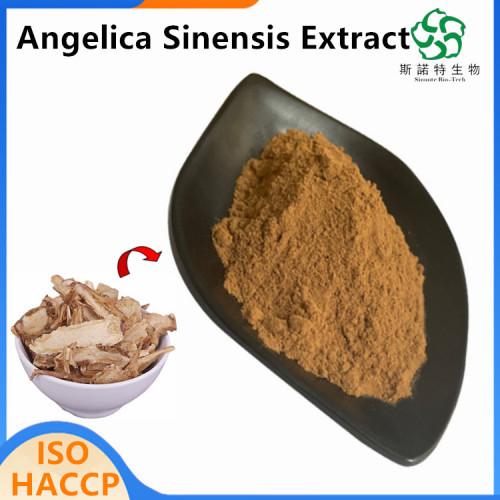 Hochwertiger chinesischer Angelica -Extrakt für die Gesundheitsversorgung
