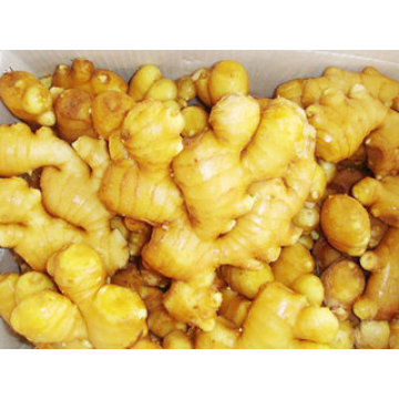 Buy Fresh Young Ginger (best price)