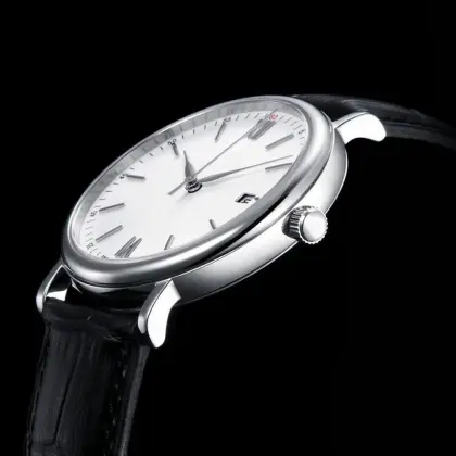 Man Automatic Mechanical Watch
