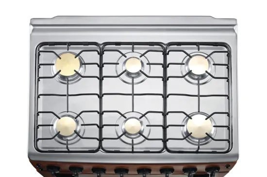6 Burner Gas Range with oven