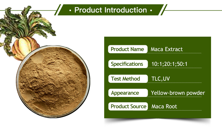 maca root extract