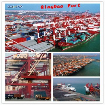 professional china logistics service provider