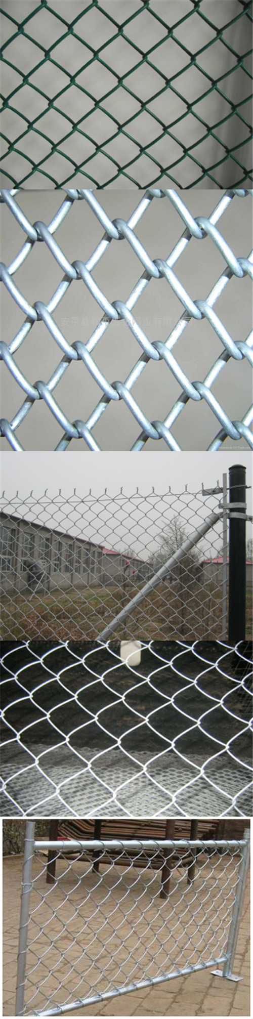 PVC Coated Galvanized Chain Link Fence/ Chain Link Wire Mesh