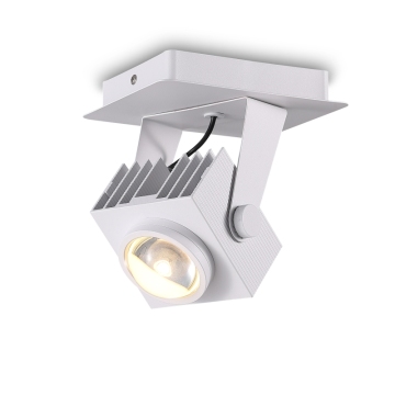 النمط الحديث 30W أبيض الفندق الأضواء السطحية LED