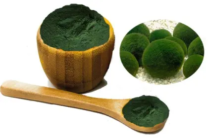 Pure Vulgaris Chlorella Powder / Chlorella Extract Powder