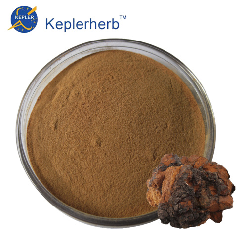 Chaga Mushroom Extract Powder