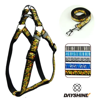 Wholesale Pet Double Switch Automatic Dog Chain Leash