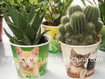 Cheapest Flower Pot Cups