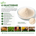 α-Galactosidase Enzyme for Raffinose Degradation