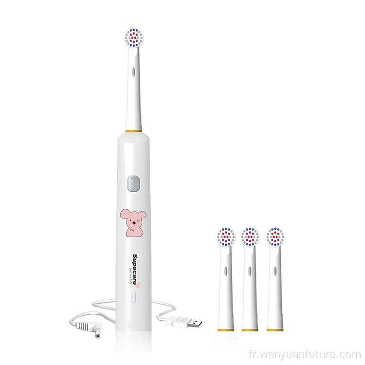 Brosse à dents électrique rechargeable rotative compatible avec b oral b