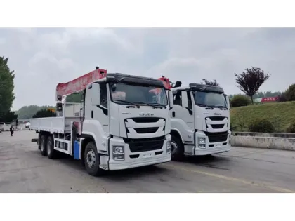 ISUZU GIGA 10 Wheels Crane Truck with Telescopic Boom, Knuckle Manipulator, and Sany Palfinger Crane