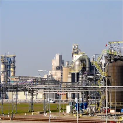 Organic Freeze Dried Mango Fruit Powder