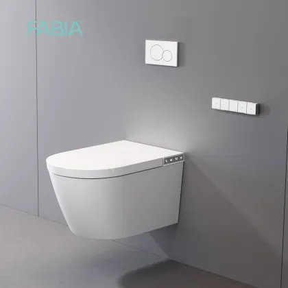 Modern Wall Mounted Smart Toilet System