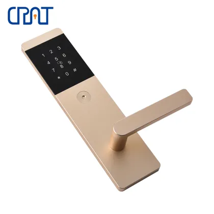 Smart Security Fingerprint Password Apartment Lock