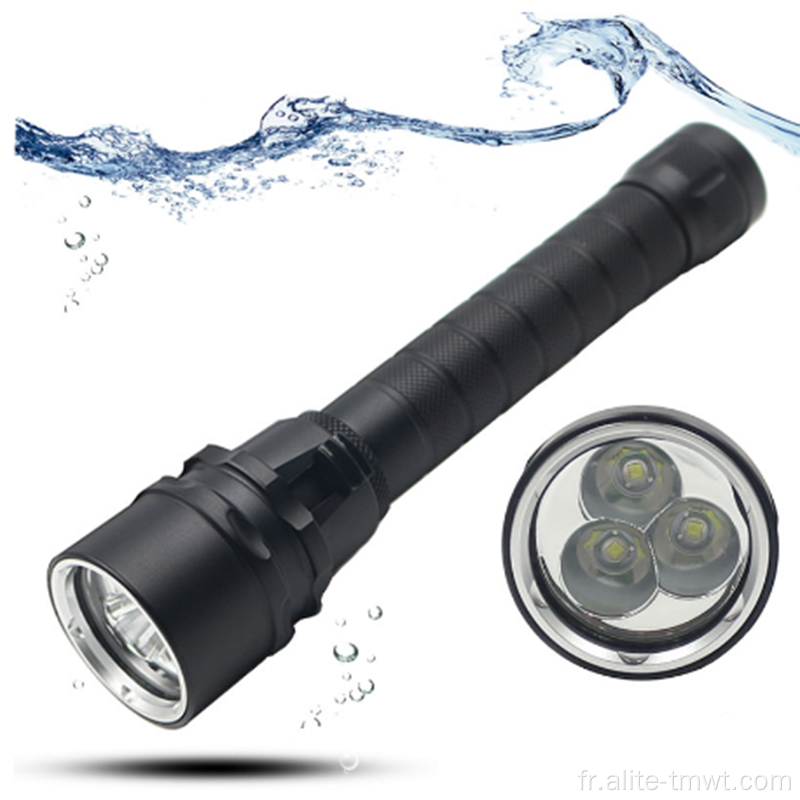 Photo vidéo Torch Lights Scuba Diving Lights