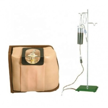 Darhmmy Medical Spinal Punctuur Training Model