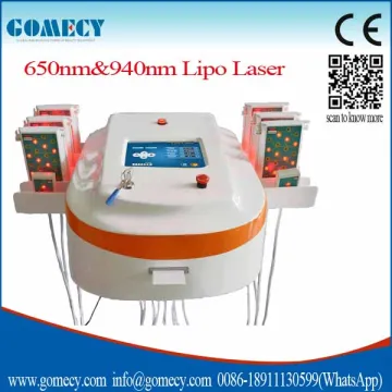 professional Lipo Laser 650nm+980nm dual wavelength lipolaser fat burning machine