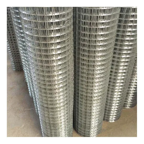 Galvanized Welded Wire Mesh for Construction