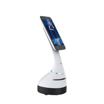 Programmable Face Recognition Robot: Receptie, Tour Guide en Exhibition Hall Verklaring