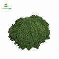 Vegan organic celery juice extract powder celery powder
